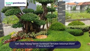 Cari Jasa Tukang Taman Surabaya? Temukan Solusinya Disini!